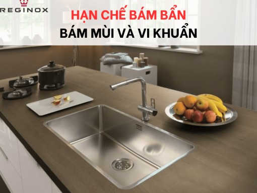 Chậu rửa bát inox 1 hố Reginox OHIO HMH.R15766 - 5