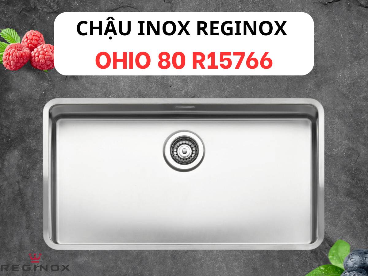 Chậu rửa bát inox 1 hố Reginox OHIO HMH.R15766