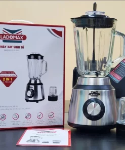 Máy xay sinh tố 2 cối Ladomax HA-9168-2 - 19
