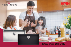 Chậu Rửa Bát 1 Hố Reginox OHIO HMH.R32688 Mạ Đen - 17