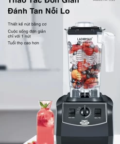Máy xay sinh tố công nghiệp Ladomax HA-9116 - 26 Máy xay sinh tố công nghiệp Ladomax HA-9116 - 25