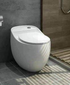 Bồn cầu liền khối GOLICAA GL-2299 - 11