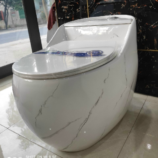 Bồn cầu liền khối GOLICAA GL-2278 - 1