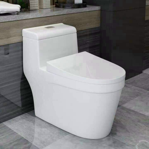 Bồn cầu liền khối GOLICAA GL-2225 - 7