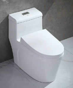 Bồn cầu liền khối GOLICAA GL-2225