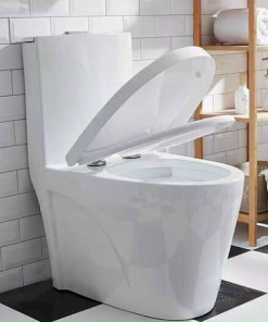 Bồn cầu liền khối GOLICAA GL-2218 - 17