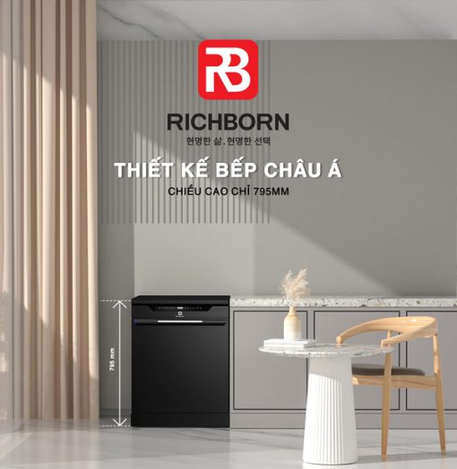 Máy rửa bát Richborn RDG6080SQB - 11