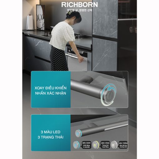 Máy rửa bát Richborn RDG6080SQG - 9