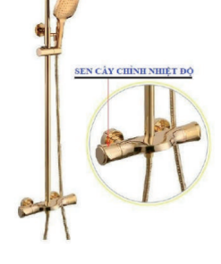 Sen tắm nóng lạnh GOLICAA GL-158 - 8 Sen tắm nóng lạnh GOLICAA GL-158 - 7