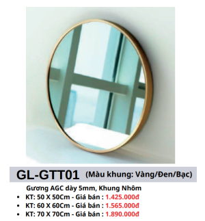 Gương cao cấp GOLICAA GL-GTT01 - 5