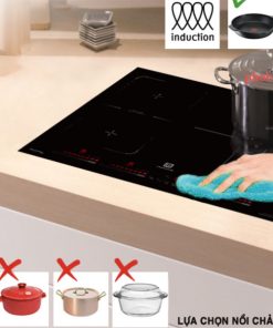 Bếp điện từ 3 vùng nấu Richborn RI5952H38P - 13