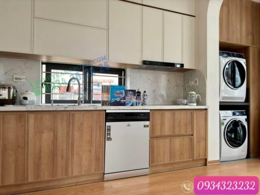 Máy rửa bát Richborn RDP6085SHS - 21