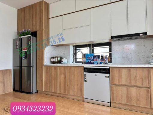 Máy rửa bát Richborn RDP6085SHS - 25