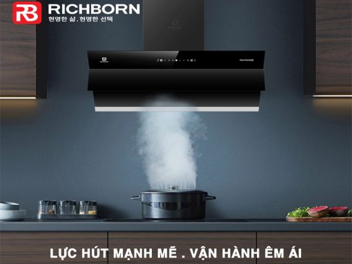 Máy hút hùi RICHBORN RHA70AHMB - 5