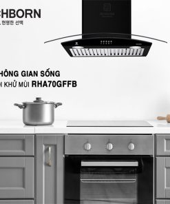 Máy hút mùi RICHBORN RHA70GFFB - 9