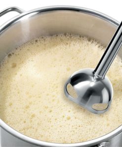 Máy Xay Sinh Tố Cầm Tay Bosch MS61A4110 - 23