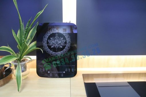 Bếp Từ Đơn Spelier SP 60 AD - 11