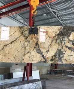 Đá Granite Hoa Cương Gold Light Exotic - 15