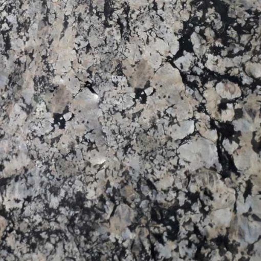 Đá Granite hoa cương Pegasus Gold đen trắng - 1