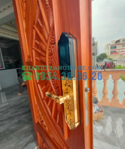 Khóa cửa vân tay đại sảnh DEMAX SL938 GOLD tiêu chuẩn Đức - 37