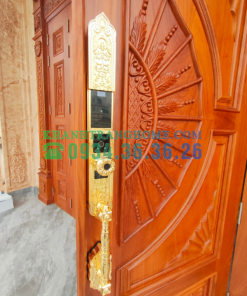 Khóa cửa vân tay đại sảnh DEMAX SL938 GOLD tiêu chuẩn Đức - 33