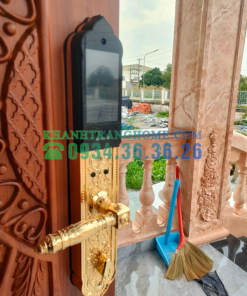 Khóa cửa vân tay đại sảnh DEMAX SL938 GOLD tiêu chuẩn Đức - 27