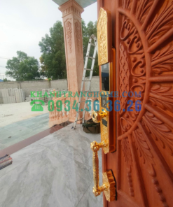 Khóa cửa vân tay đại sảnh DEMAX SL938 GOLD tiêu chuẩn Đức - 41