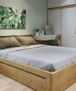 Giường Gỗ MDF Lõi Xanh Phủ Melamine giá 4.800.000 - 29