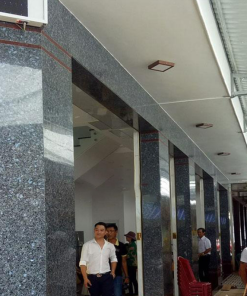 Đá Granite Hoa cương Xà Cừ Xám - 16 Đá Granite Hoa cương Xà Cừ Xám - 15