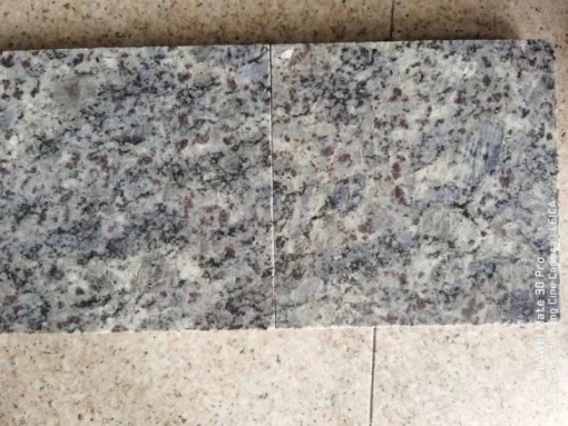 Đá Granite Hoa cương Grey Flower - 5