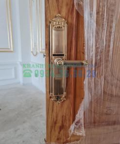 Khóa thông minh DEMAX SL822 GOLD tiêu chuẩn Đức - 35