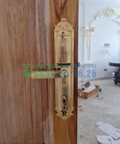 Khóa thông minh DEMAX SL822 GOLD tiêu chuẩn Đức - 37