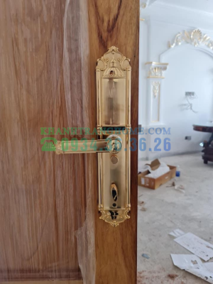 Khóa thông minh DEMAX SL822 GOLD tiêu chuẩn Đức - 37