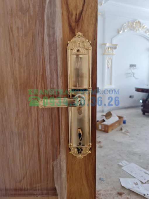 Khóa thông minh DEMAX SL822 GOLD tiêu chuẩn Đức - 19