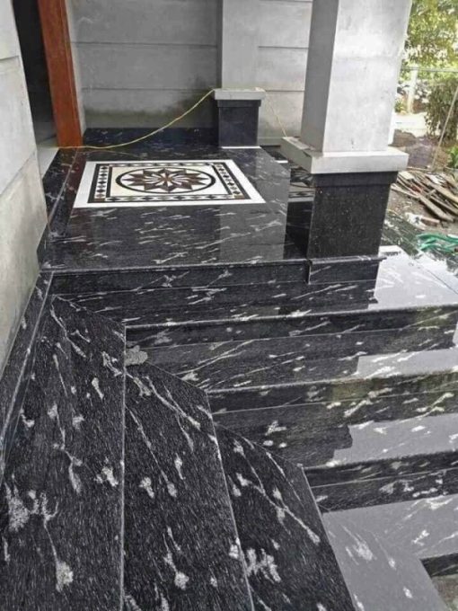 Đá Granite Hoa Cương Đen Cá - 3