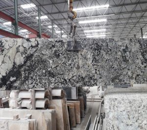 Đá Granite hoa cương Pegasus Gold đen trắng - 5