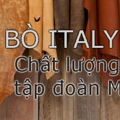 SOFA THƯ GIÃN DA BÒ FUTURE MODEL 9913 (1+2) - 9 BÀN SOFA DA BÒ MẶT KÍNH FUTURE MODEL T5