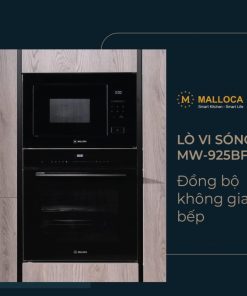 LÒ VI SÓNG ÂM TỦ MALLOCA MW-925BF - 62