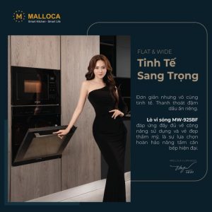 LÒ VI SÓNG ÂM TỦ MALLOCA MW-925BF - 53