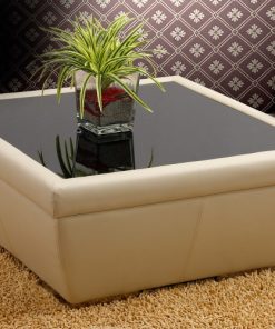 BÀN SOFA DA MẶT KÍNH FUTURE MODEL T4