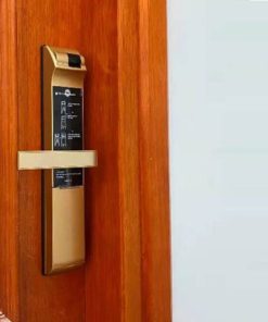 Khóa thông minh Yale YDM7116A CG - 13