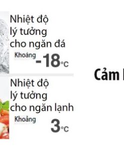 Tủ Lạnh Hitachi Inverter 450 Lít R-FG560PGV8 GBK - 26 Tủ Lạnh Hitachi Inverter 450 Lít R-FG560PGV8 GBK - 25