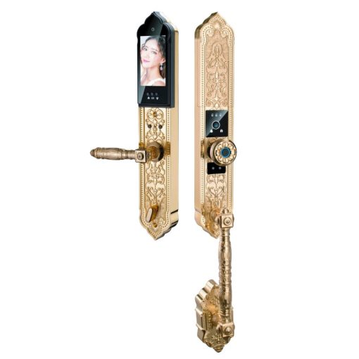 Khoá điện tử Hubert Đại Sảnh HB DS79F Gold - 1