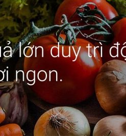 Tủ Lạnh Inverter 580 Lít Mitsubishi Electric MR-LA72ER-GSL-V - 23