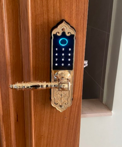 Khoá điện tử Đại Sảnh Hubert HB DS79 Gold Mini - 20 Khoá điện tử Đại Sảnh Hubert HB DS79 Gold Mini - 19