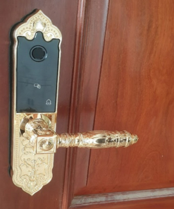 Khoá điện tử Đại Sảnh Hubert HB DS79 Gold Mini - 22 Khoá điện tử Đại Sảnh Hubert HB DS79 Gold Mini - 21