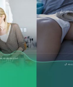 Tủ lạnh Inverter 506 lít Mitsubishi Electric MR-WX52D-BR-V - 27