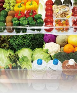 Tủ lạnh Inverter 272 lít Mitsubishi Electric MR-CX35EM-BRW-V - 24 Tủ lạnh Inverter 272 lít Mitsubishi Electric MR-CX35EM-BRW-V - 23