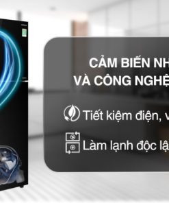 Tủ Lạnh Hitachi Inverter 339 Lít R-FVX450PGV9 GBK - 33