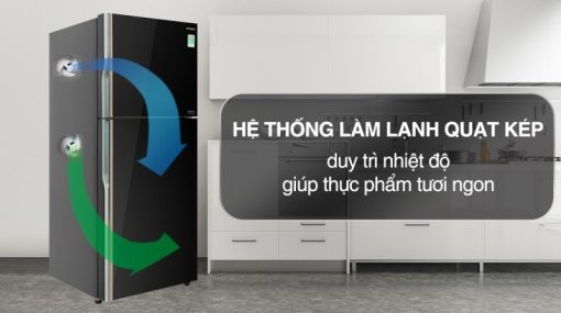 Tủ Lạnh Hitachi Inverter 339 Lít R-FVX450PGV9 GBK - 11